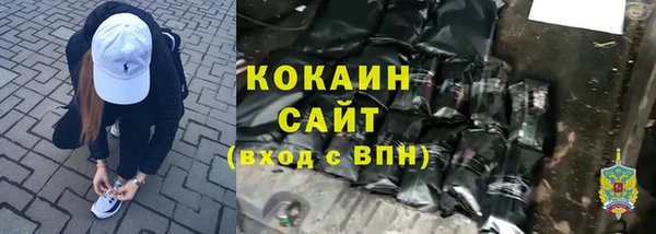 ешки Алексин